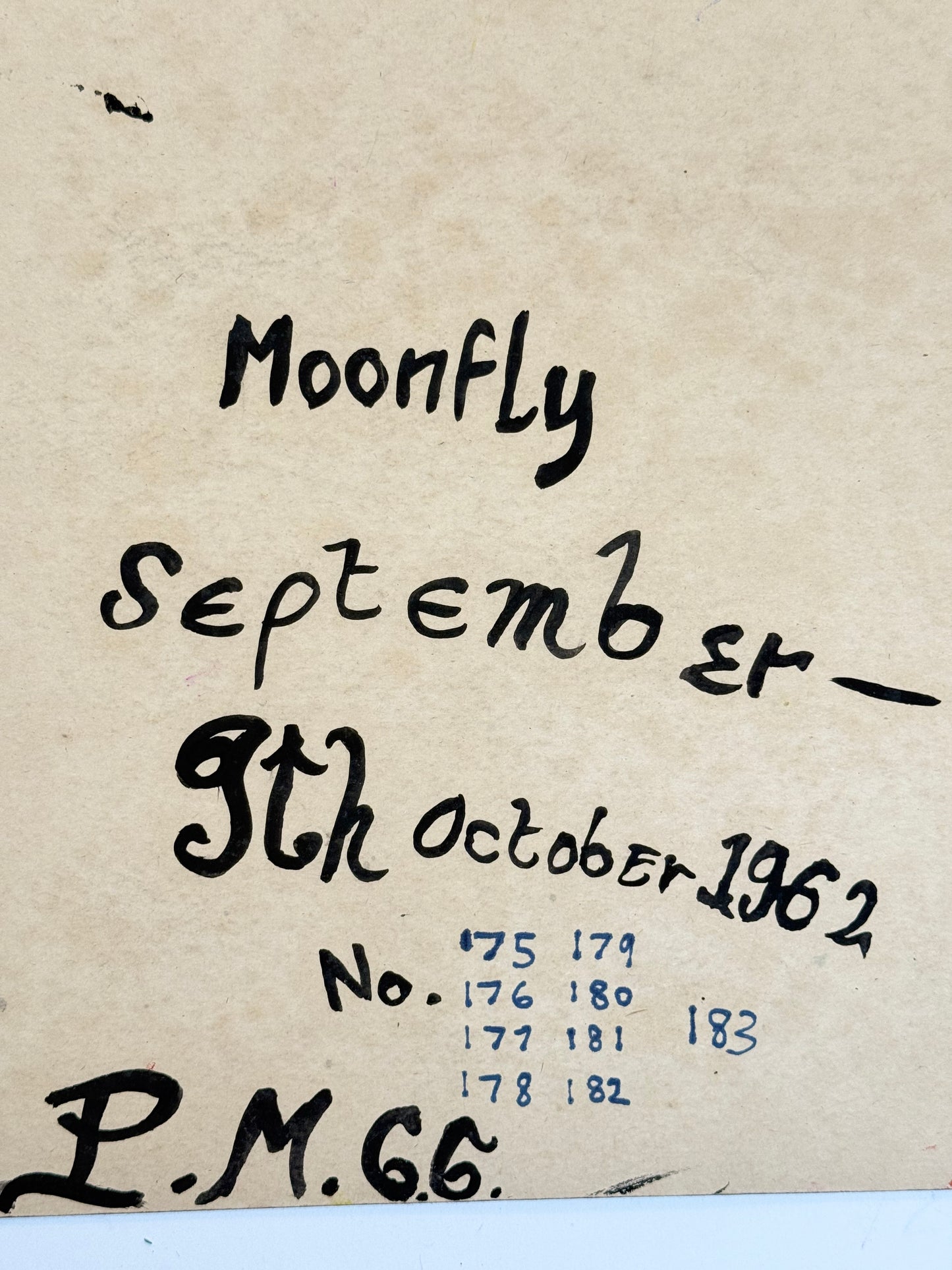 Moonfly - PETER CROTTY, British | 1943-present