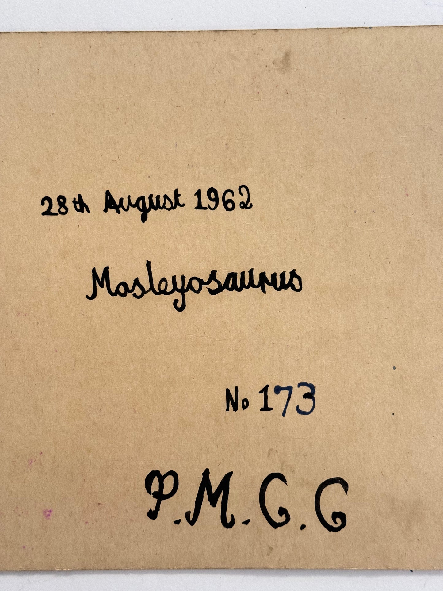 No. 173 Mosleyosaurus - PETER CROTTY, British | 1943-present