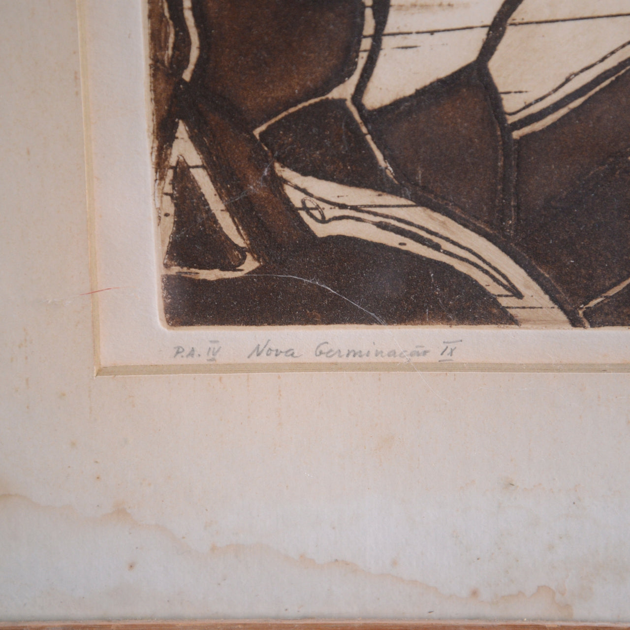 Nova Germinação IX / Thereza Miranda, (1968)