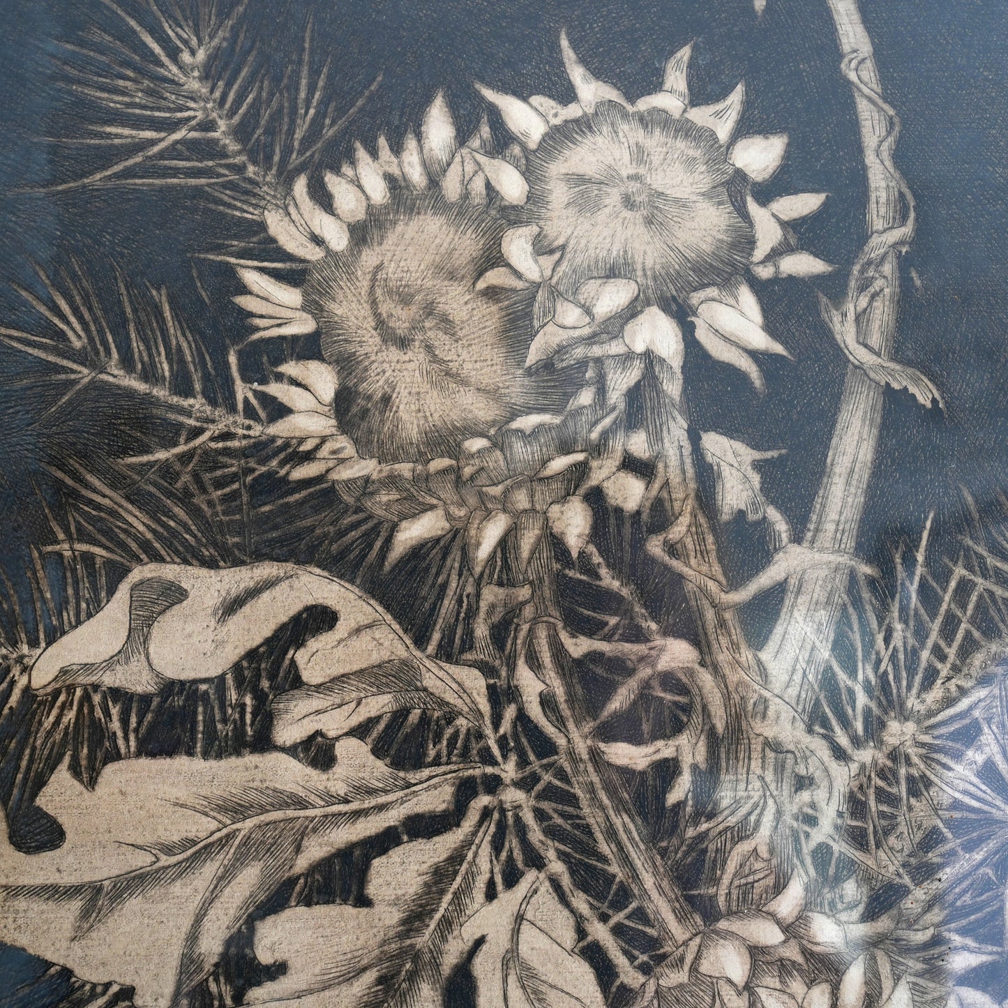 Sunflowers | Hendrik Christian Spruit (1881-1942) Dutch