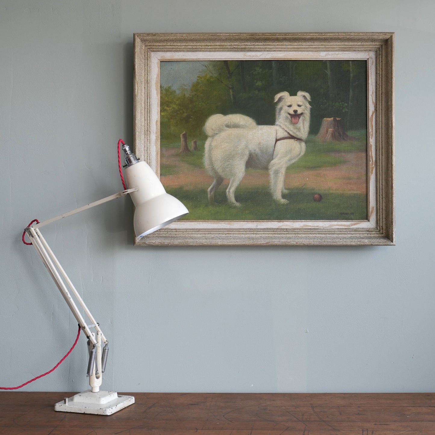 Portrait of a White Spitz-Type Dog / Hameau, (1951)