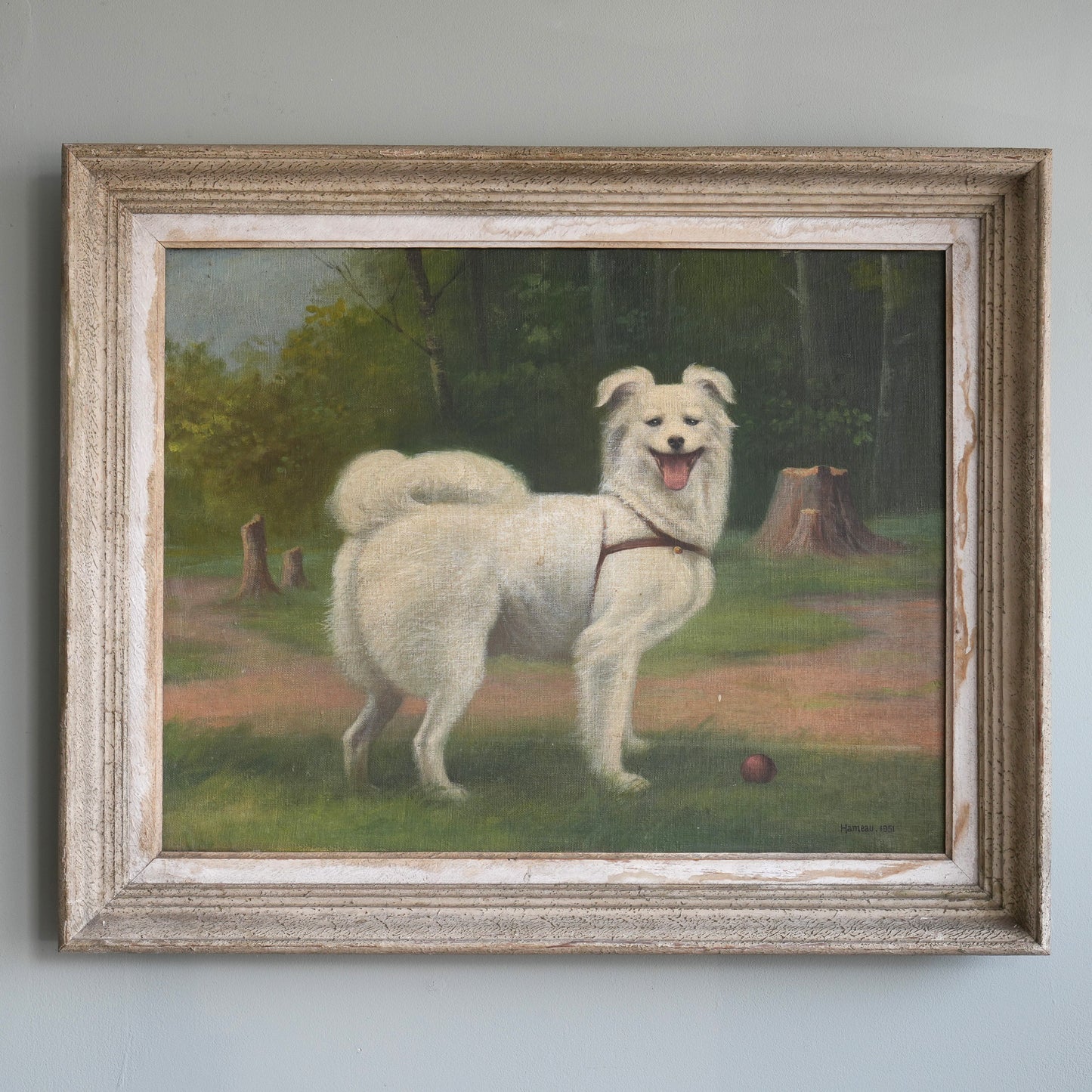 Portrait of a White Spitz-Type Dog / Hameau, (1951)