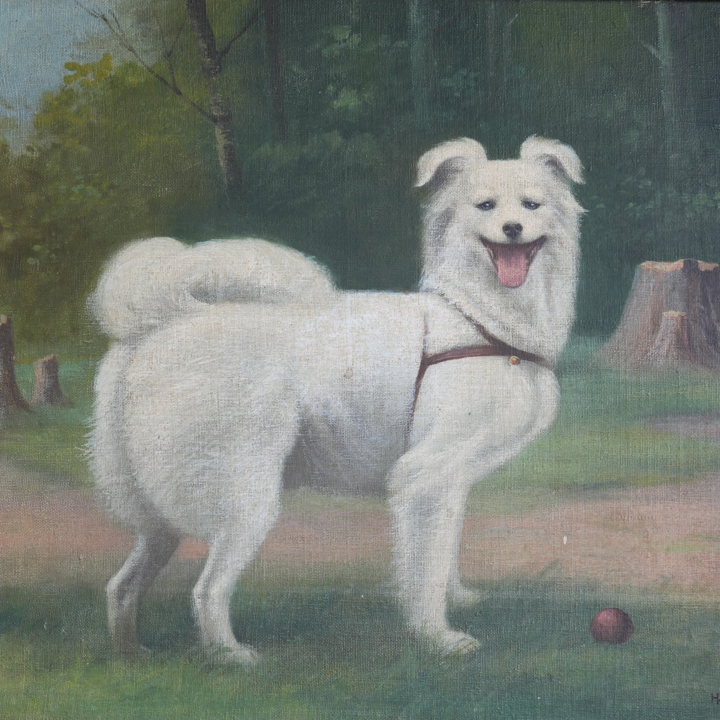 Portrait of a White Spitz-Type Dog / Hameau, (1951)