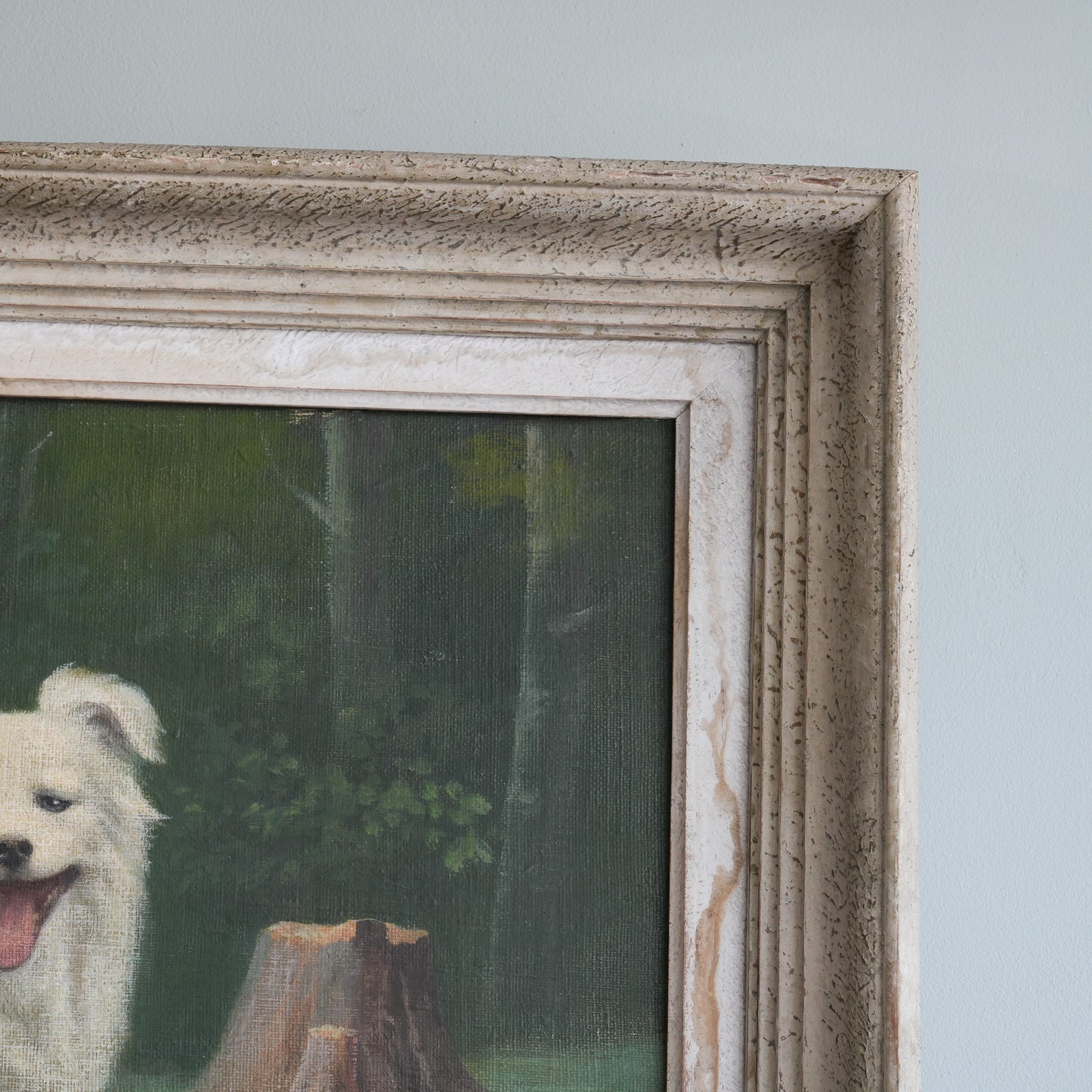 Portrait of a White Spitz-Type Dog / Hameau, (1951)