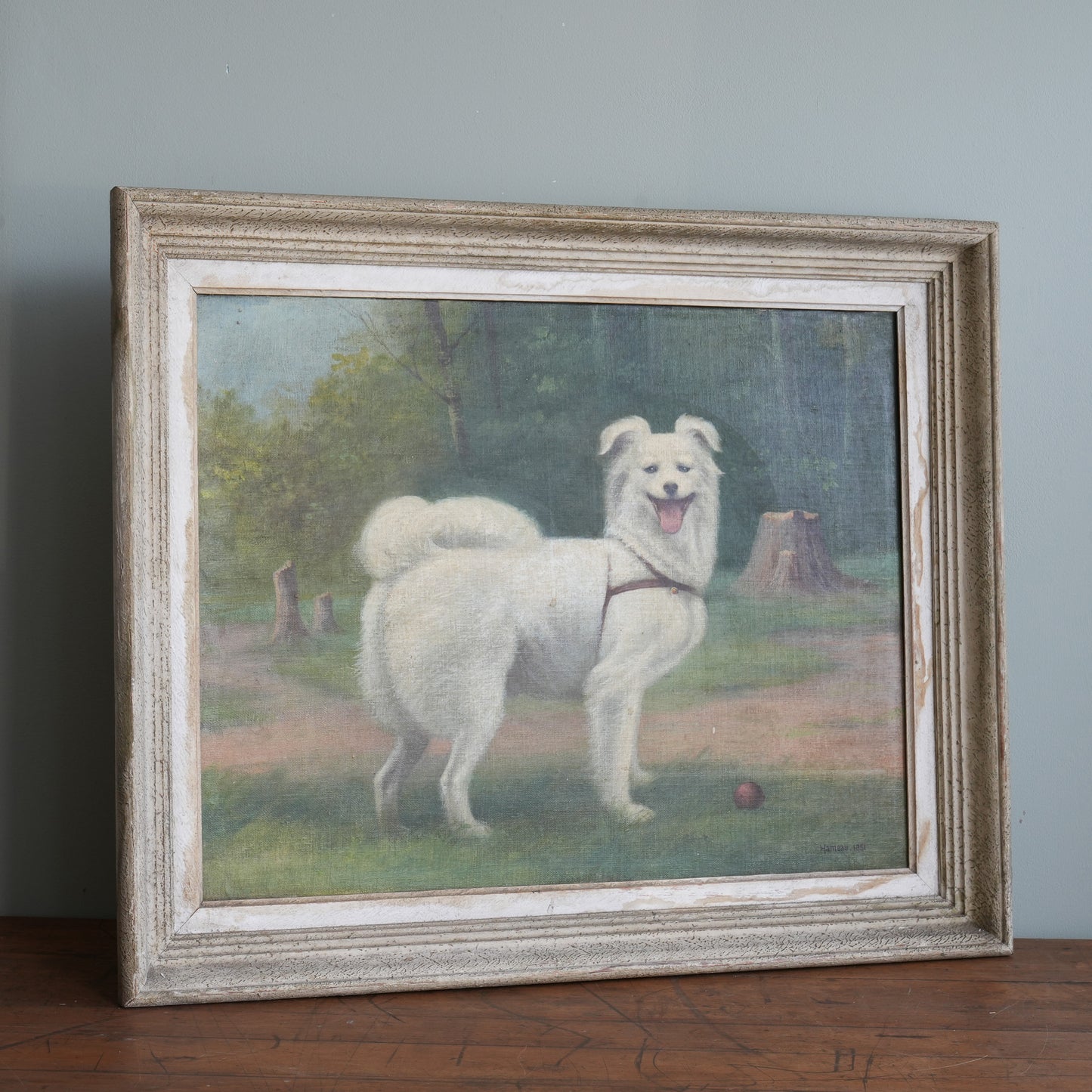 Portrait of a White Spitz-Type Dog / Hameau, (1951)