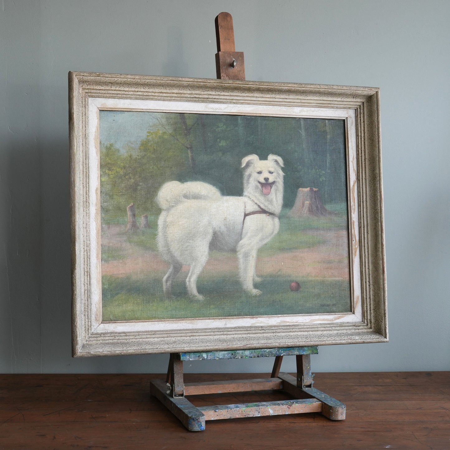 Portrait of a White Spitz-Type Dog / Hameau, (1951)