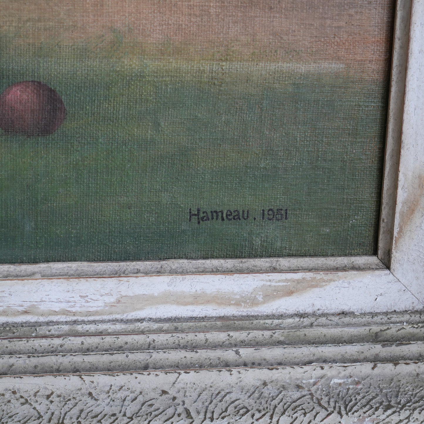 Portrait of a White Spitz-Type Dog / Hameau, (1951)