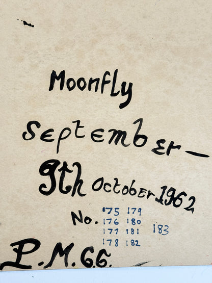 Moonfly - PETER CROTTY, British | 1943-present