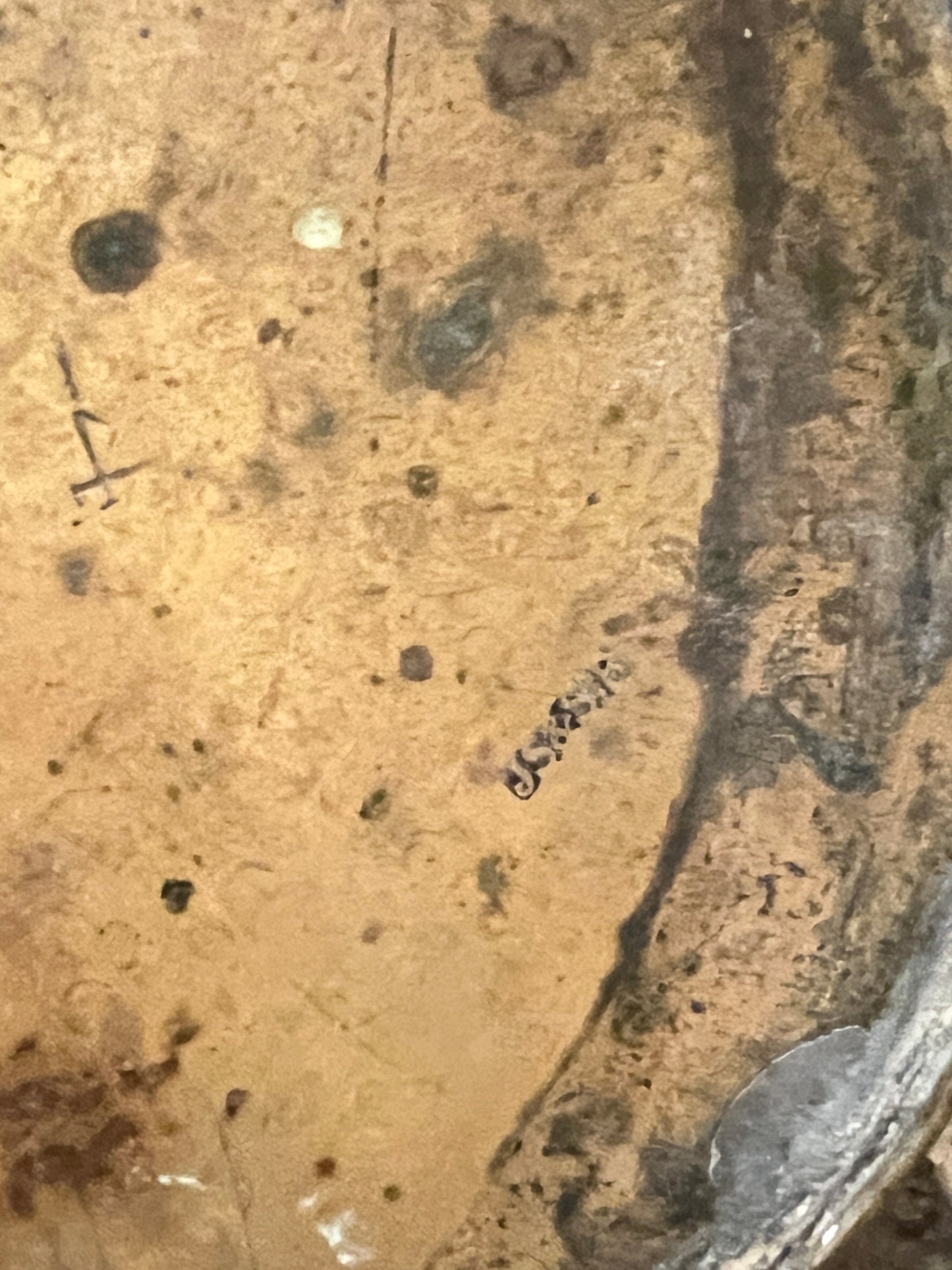 Two Brass Jugs ~ Joseph Sankey and Sons