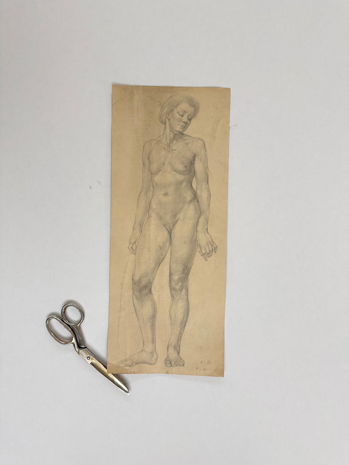 Female Life Drawing from the portfolio of Joyce Platt, 1938