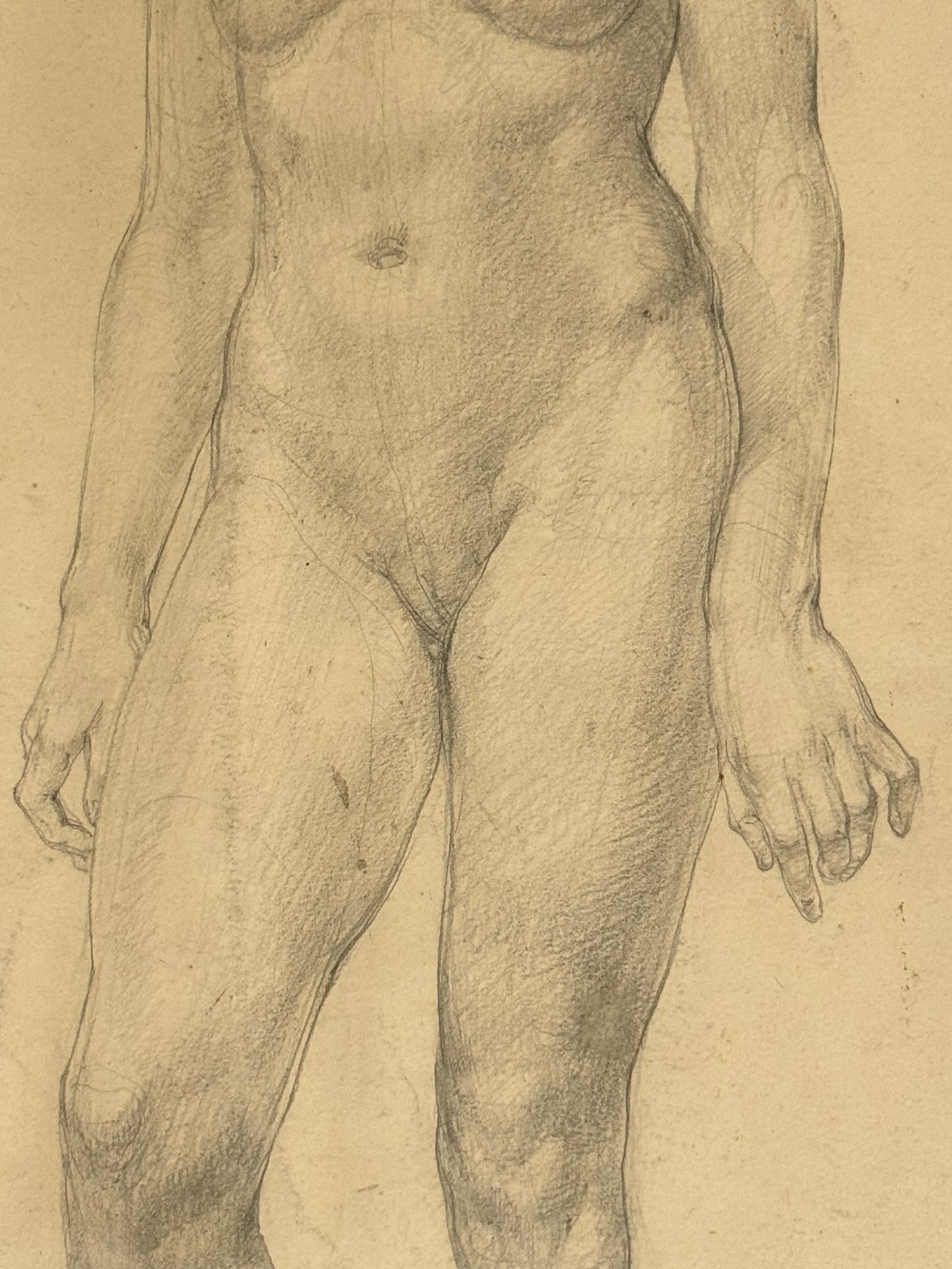 Female Life Drawing from the portfolio of Joyce Platt, 1938