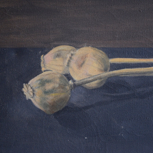 Still Life with Poppy Pods and Binder Clip / K Mayo, (c. mid-20th Century)