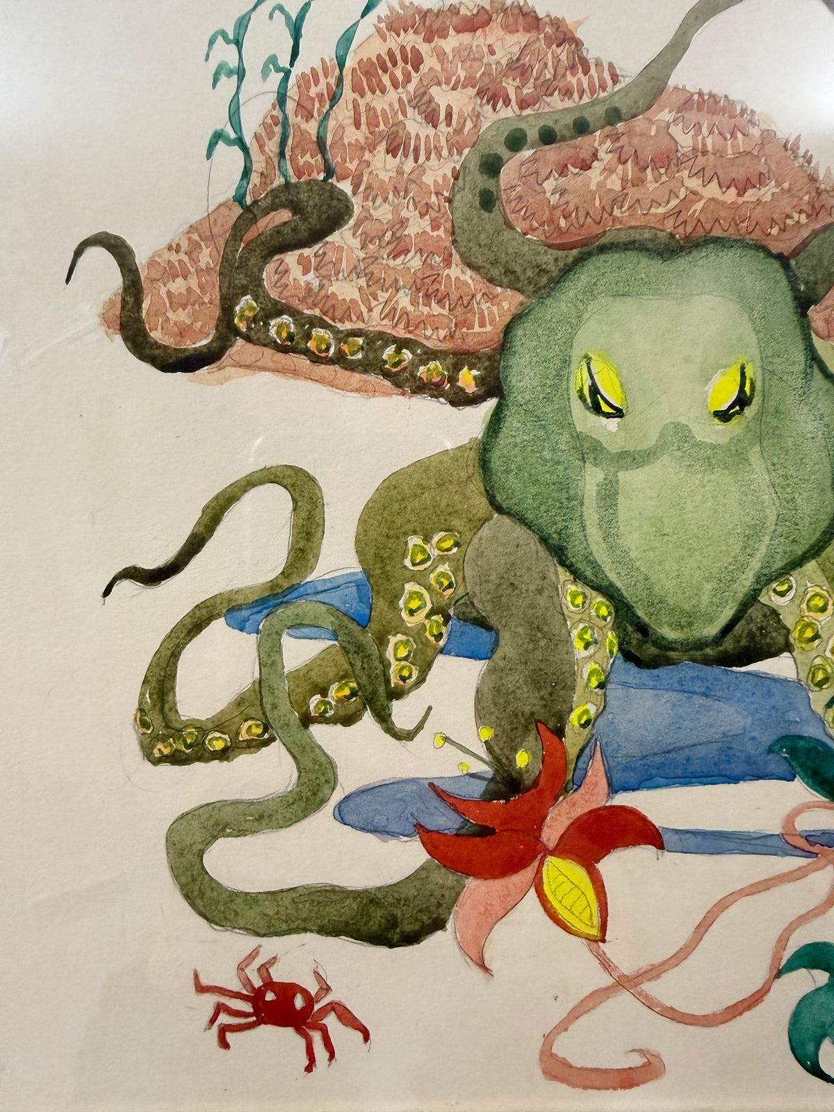 The Octopus | Original Marine Watercolour | c.1930-1950