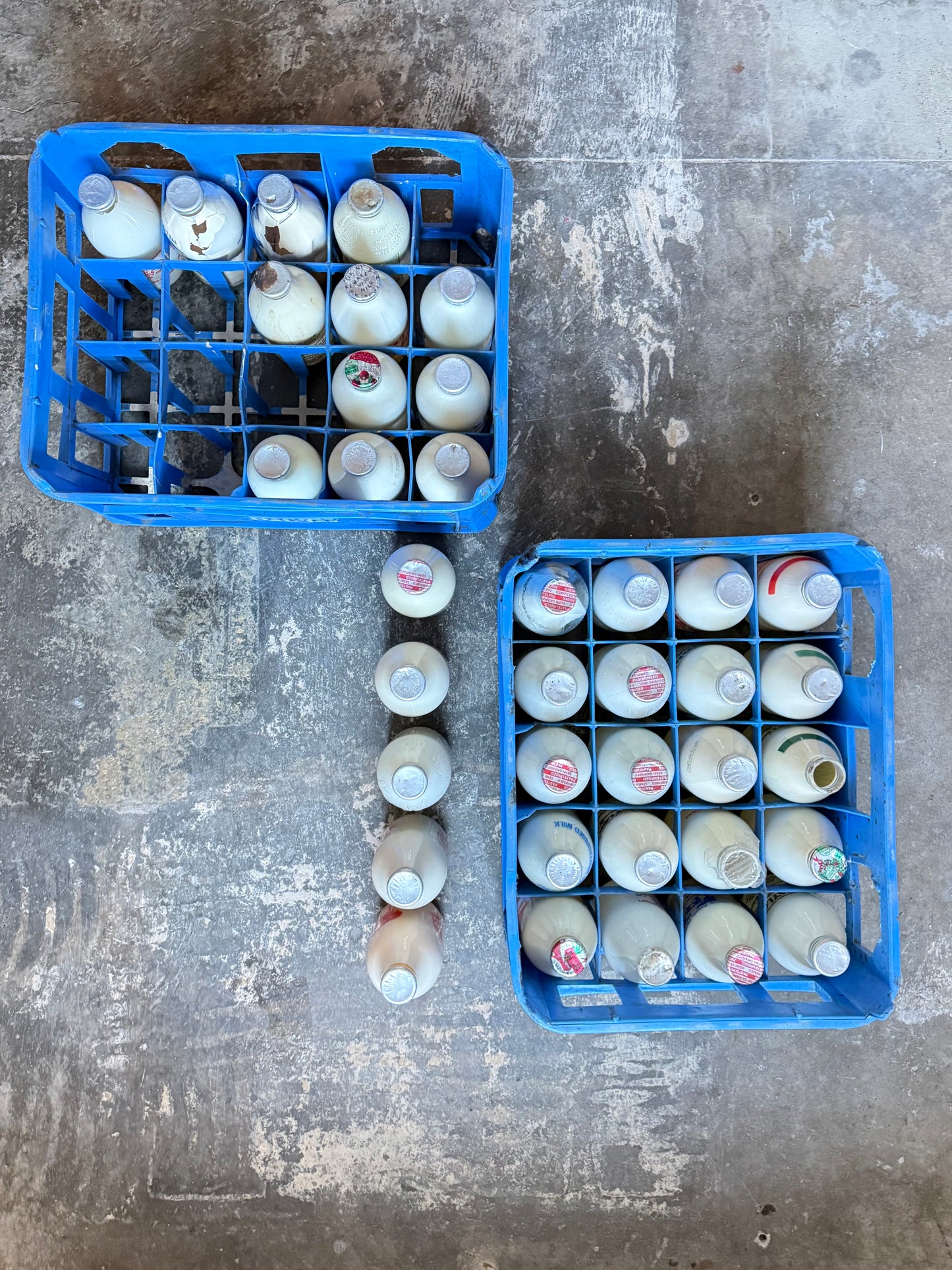 A Collection  of 37 Advertising Milk Bottles in Crates