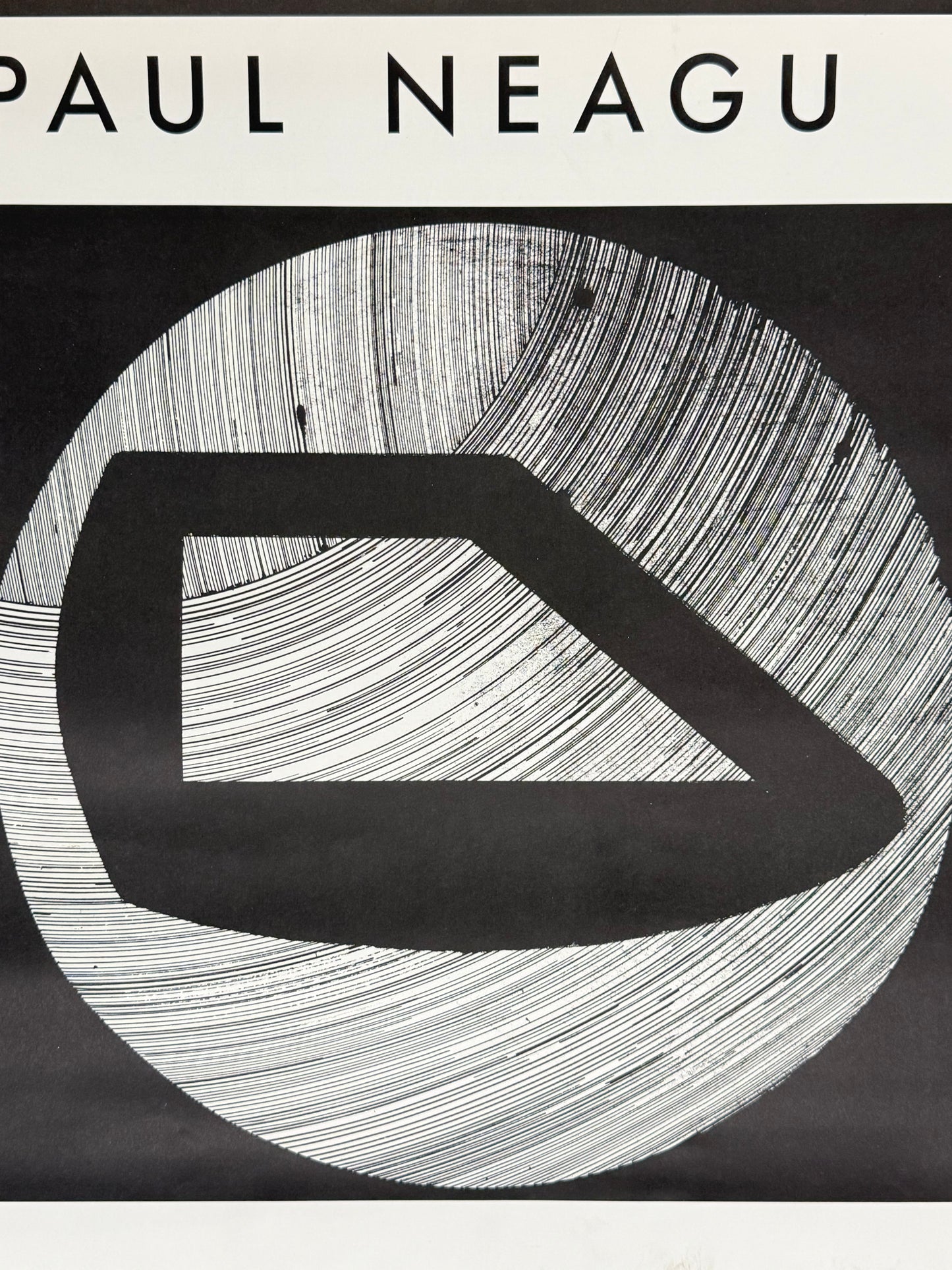 ROMAN COTOSMAN | PAUL NEAGU, Venice 1995 | Art Poster
