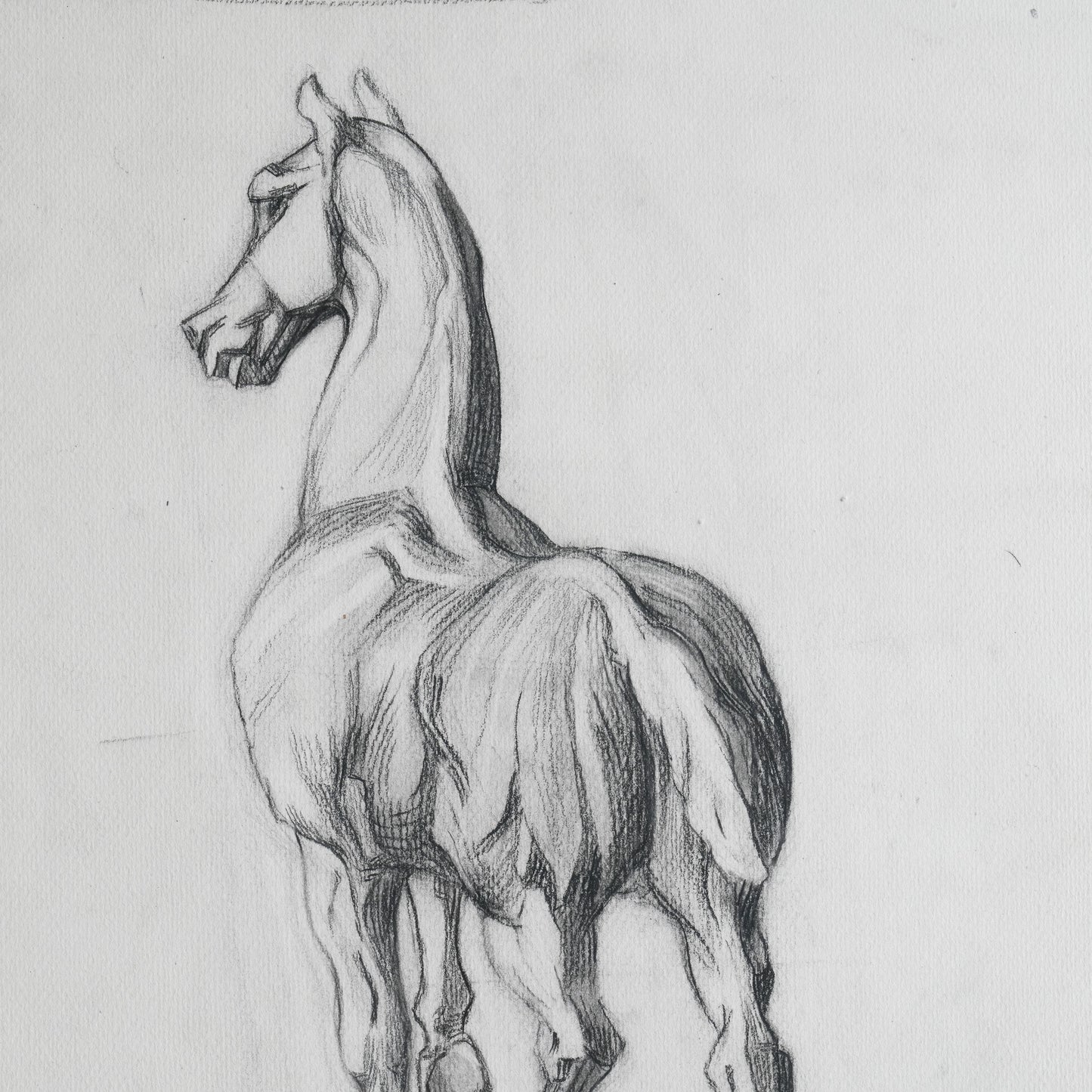 A Pencil Study of a Horse and Dog on Paper.
