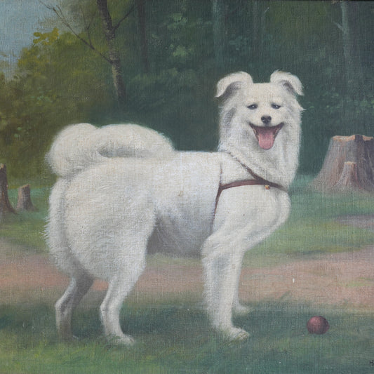 Portrait of a White Spitz-Type Dog / Hameau, (1951)