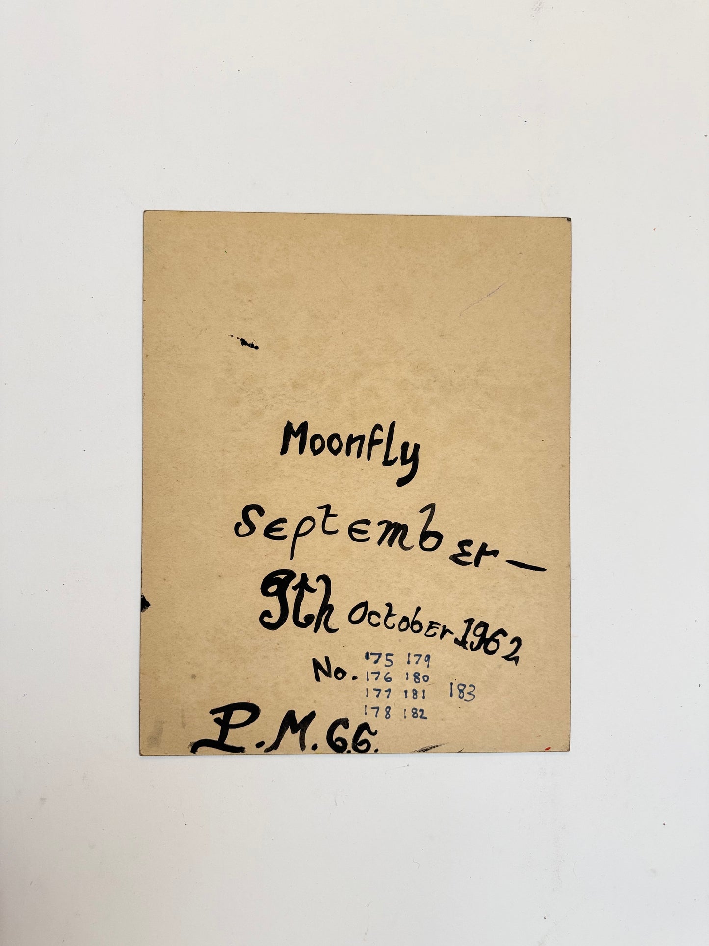 Moonfly - PETER CROTTY, British | 1943-present