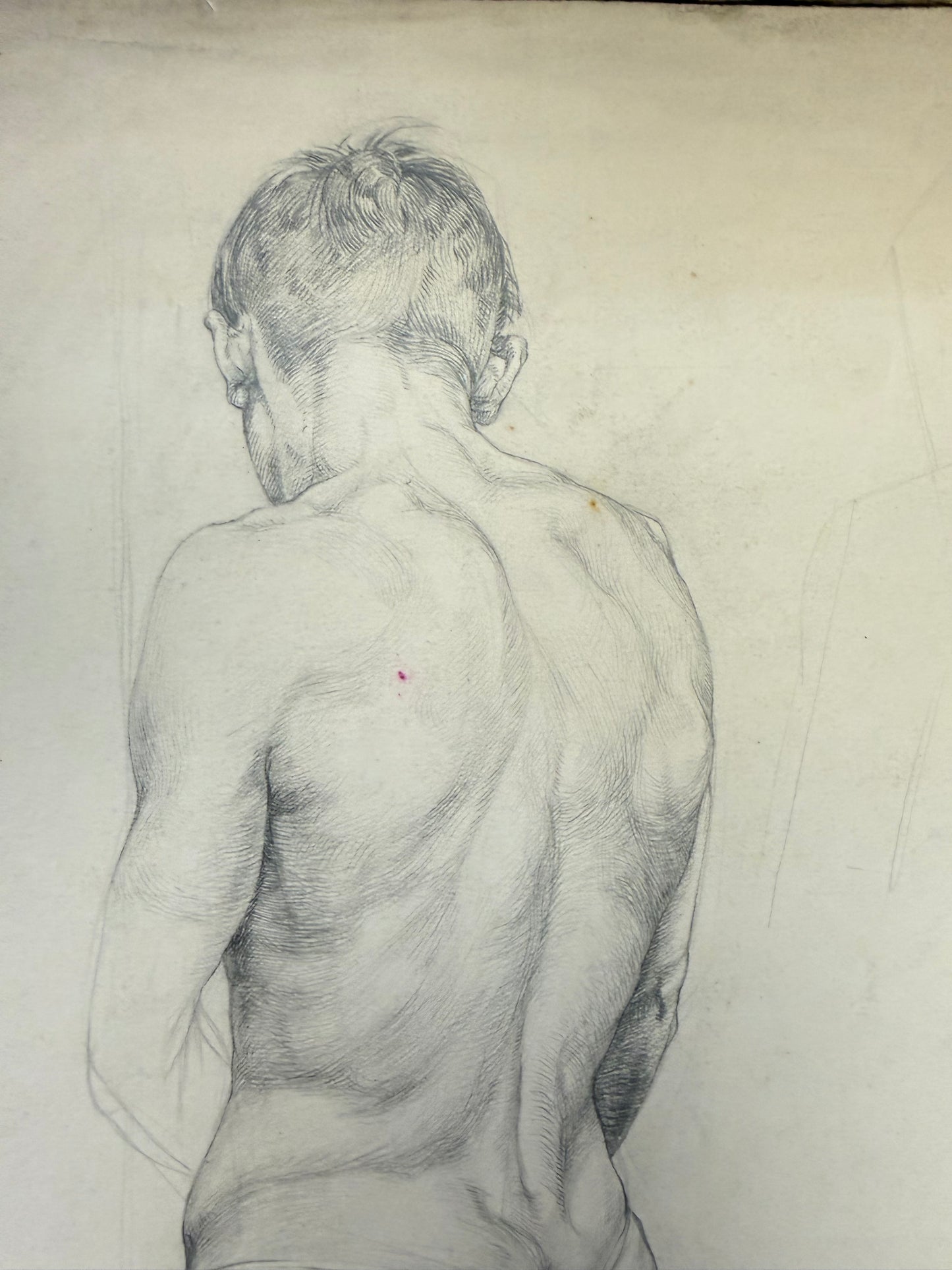 A Life Pencil Drawing of a Gentleman on paper.