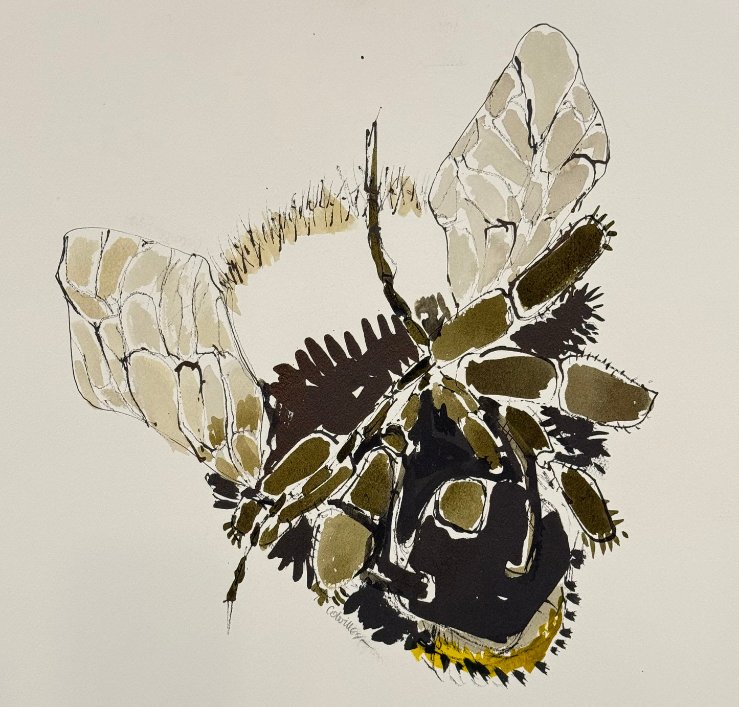 ISOBEL COLVILLE Scottish | 1935 - 2025