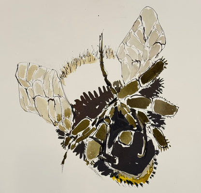 ISOBEL COLVILLE Scottish | 1935 - 2025