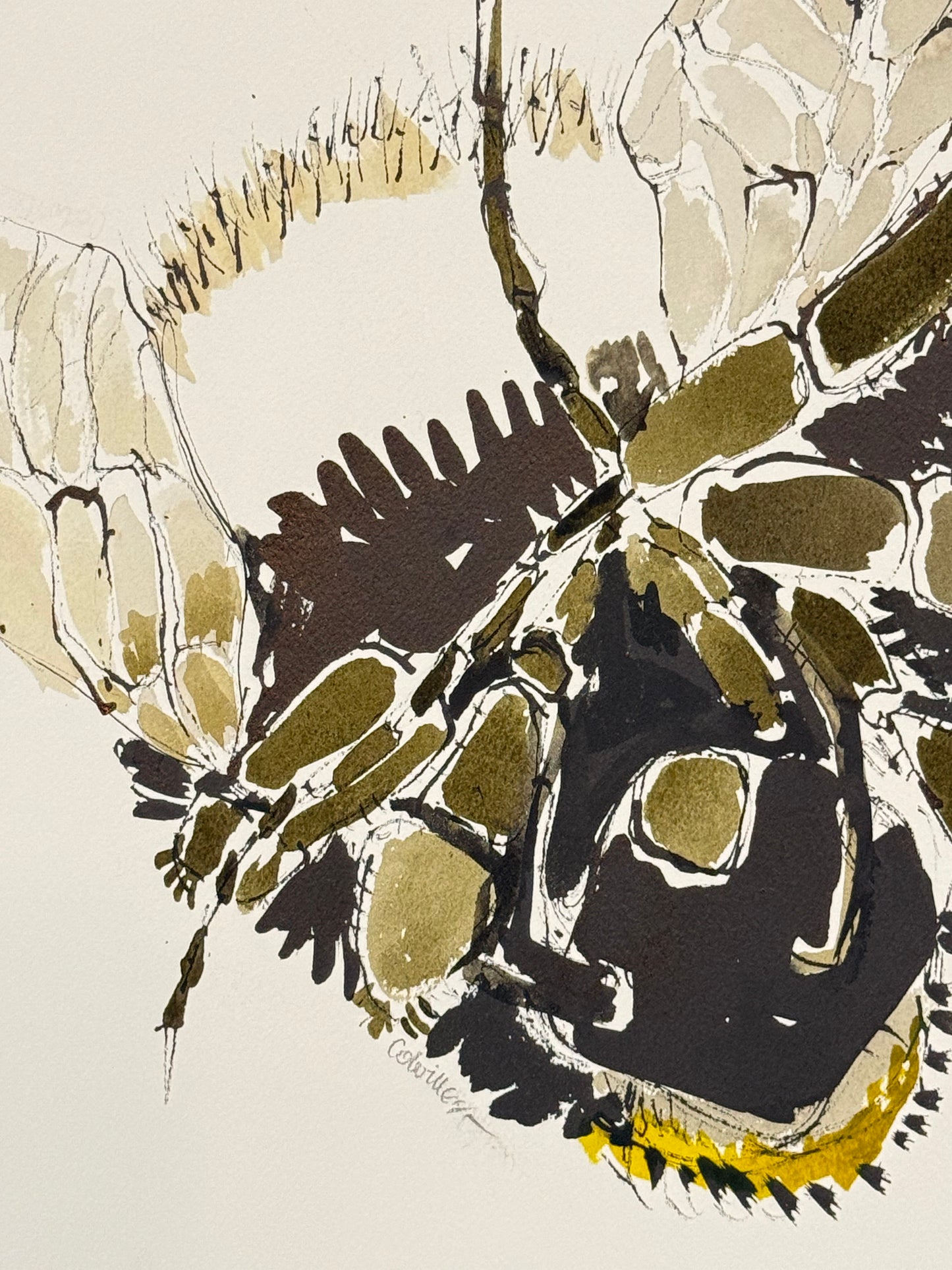 ISOBEL COLVILLE Scottish | 1935 - 2025