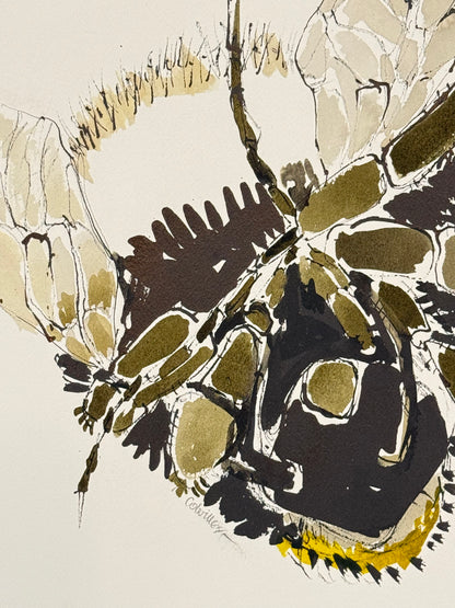 ISOBEL COLVILLE Scottish | 1935 - 2025