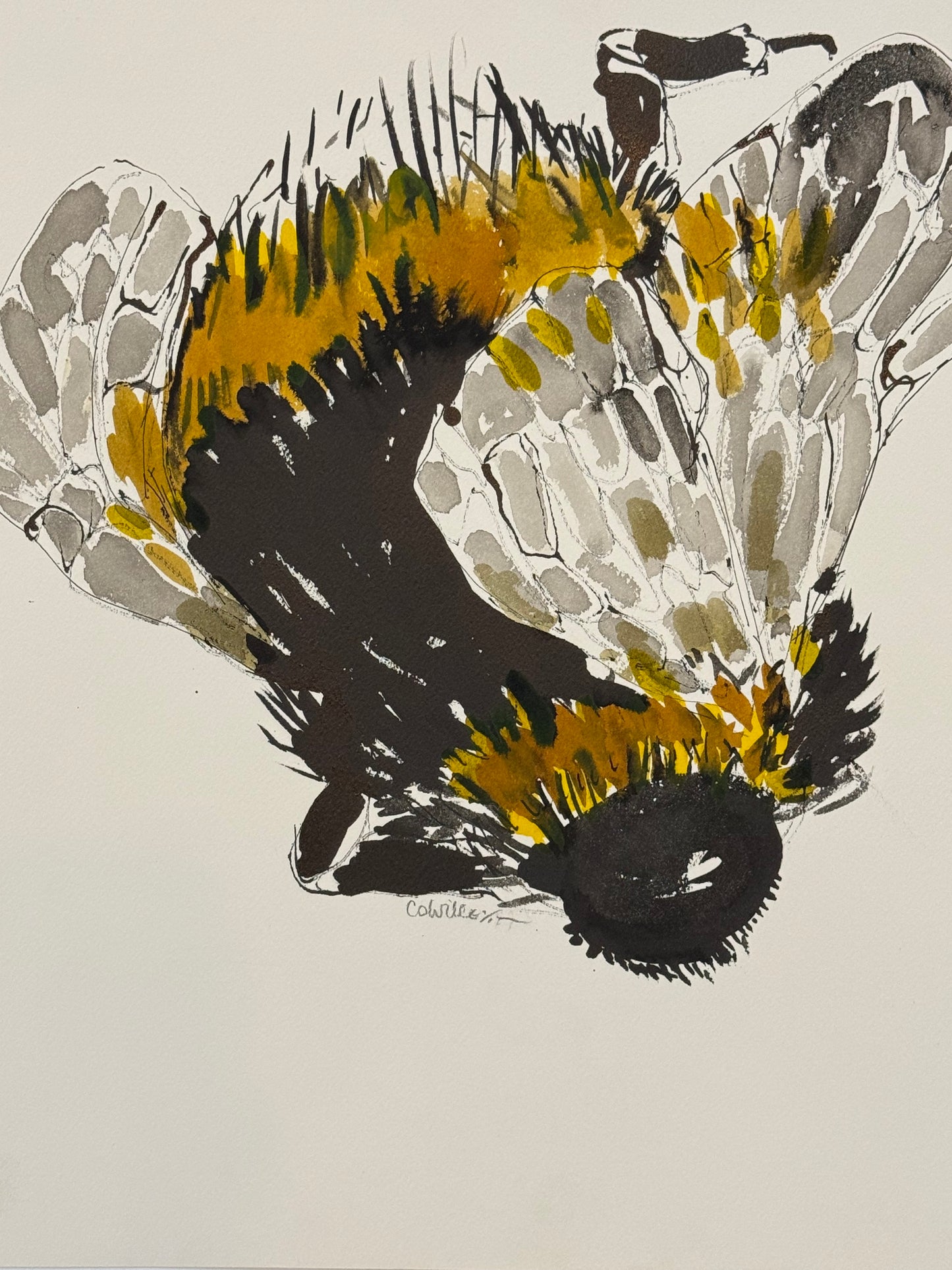 ISOBEL COLVILLE Scottish | 1935 - 2025