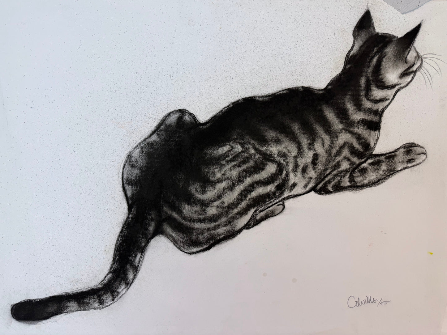 ISOBEL COLVILLE Scottish | 1935 - 2025