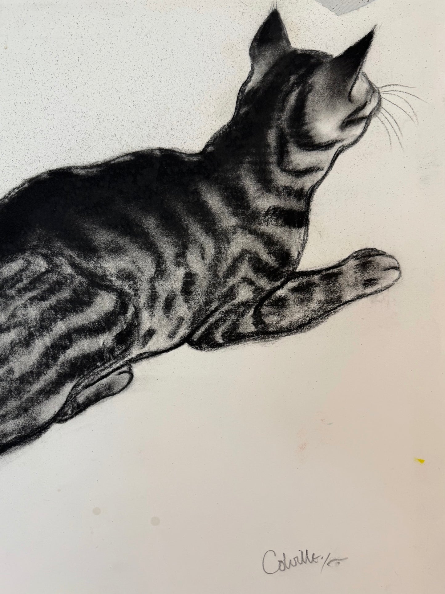 ISOBEL COLVILLE Scottish | 1935 - 2025