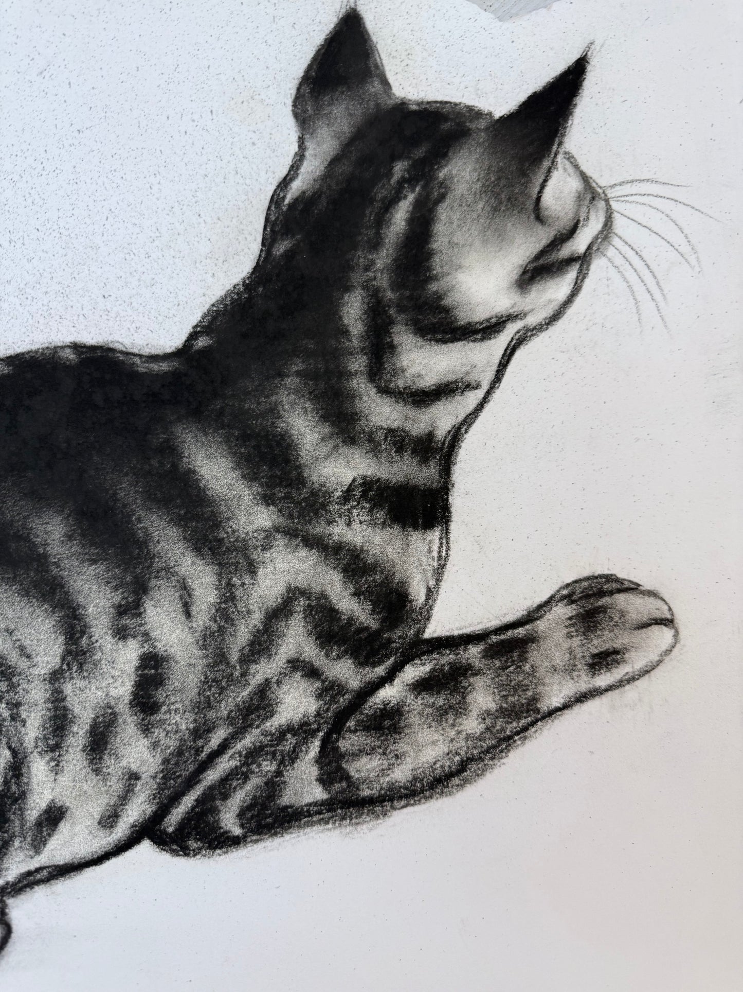 ISOBEL COLVILLE Scottish | 1935 - 2025