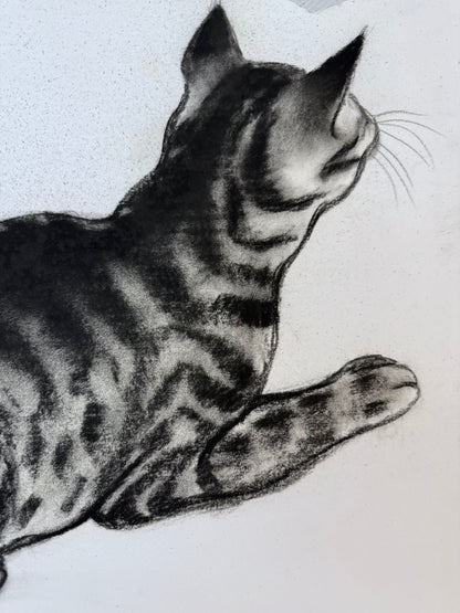 ISOBEL COLVILLE Scottish | 1935 - 2025