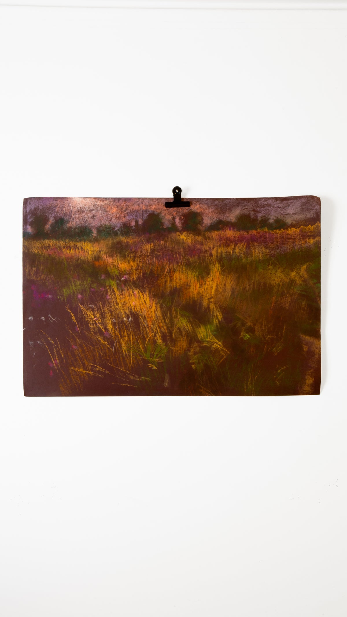 Fields of Grasses on paper - LEONARD BENNETTS, New Zealand | 1933-2004