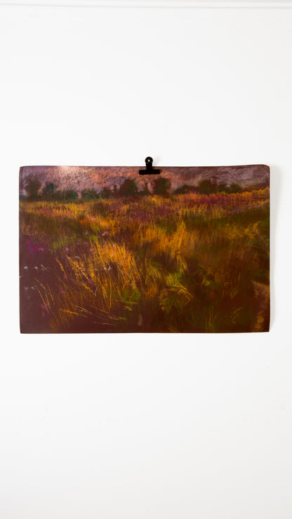 Fields of Grasses on paper - LEONARD BENNETTS, New Zealand | 1933-2004