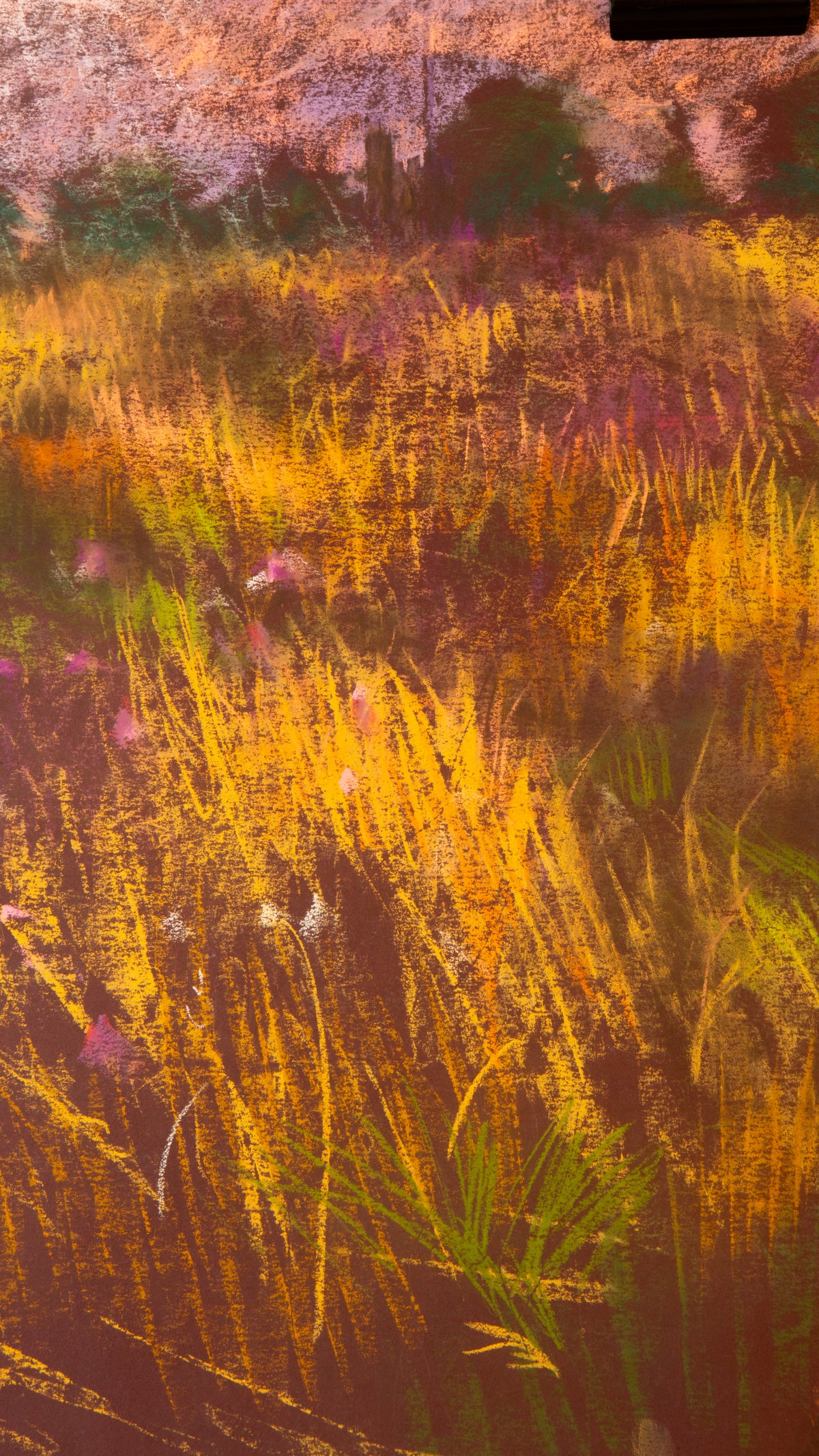 Fields of Grasses on paper - LEONARD BENNETTS, New Zealand | 1933-2004