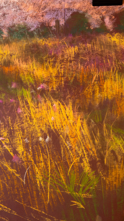 Fields of Grasses on paper - LEONARD BENNETTS, New Zealand | 1933-2004