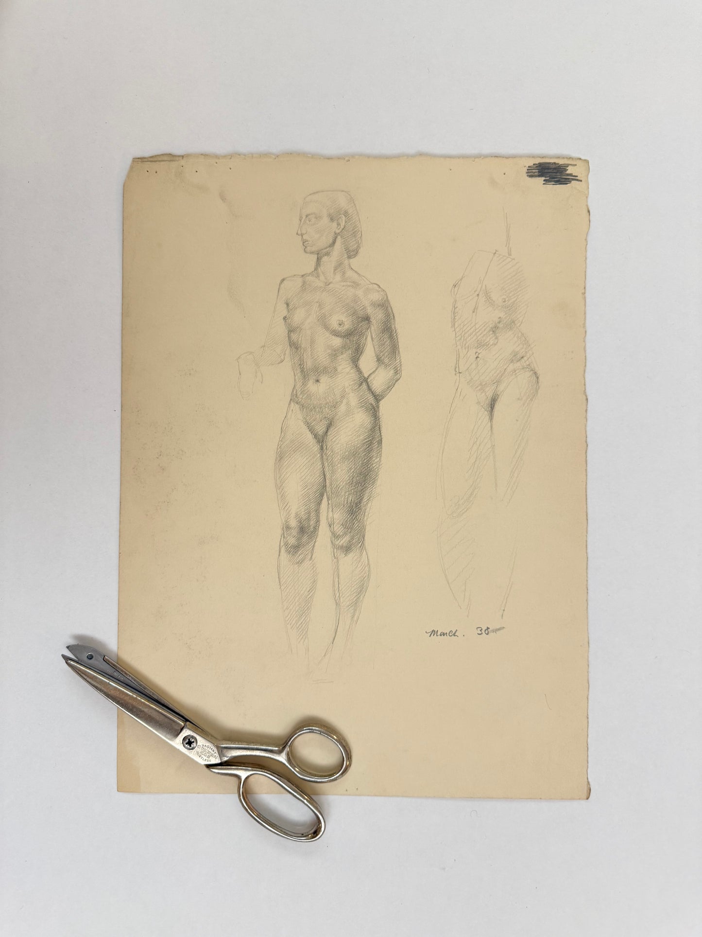 Female Life Drawing from the portfolio of Joyce Platt, March 1938