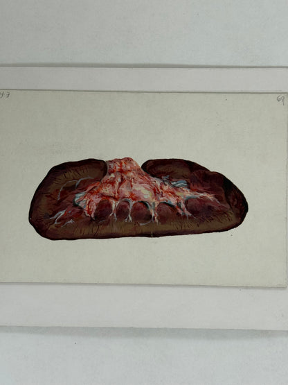 Organ Study- ERIC RITCHIE Scottish | 1934-2026