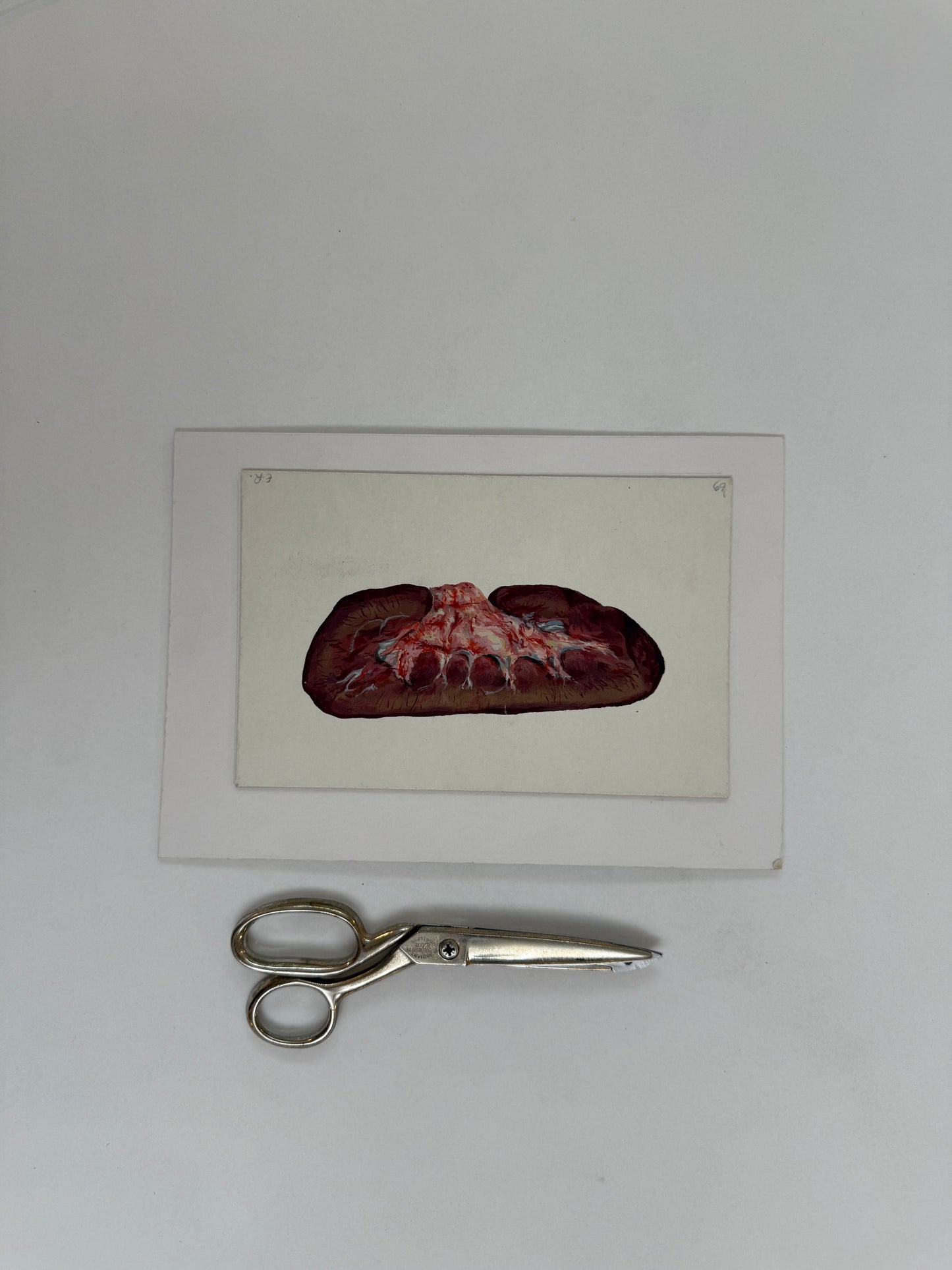 Organ Study- ERIC RITCHIE Scottish | 1934-2026