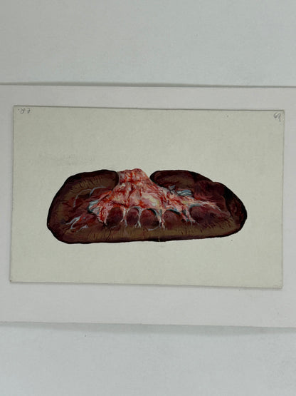 Organ Study- ERIC RITCHIE Scottish | 1934-2026