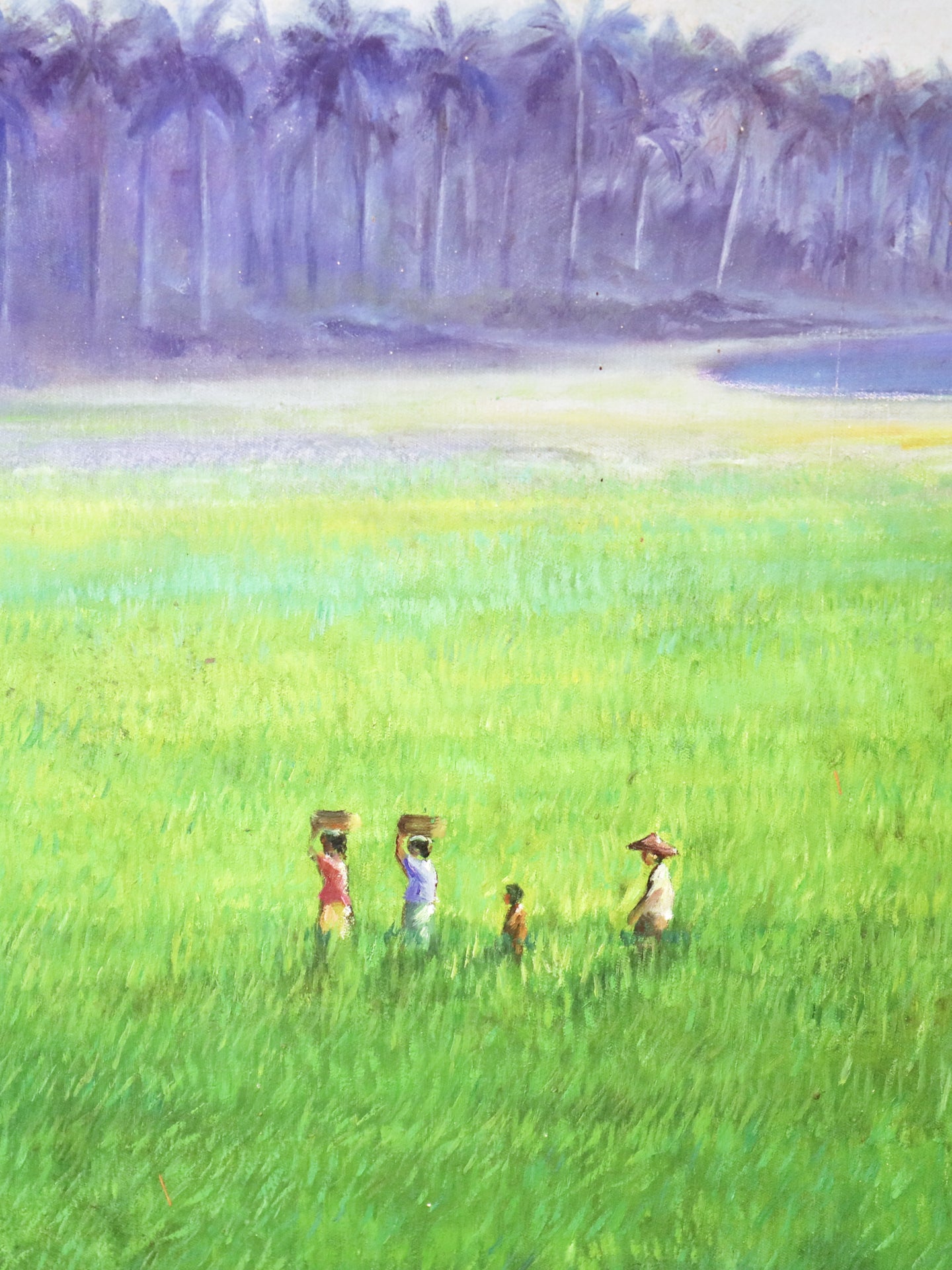 Paddy Fields - Didik