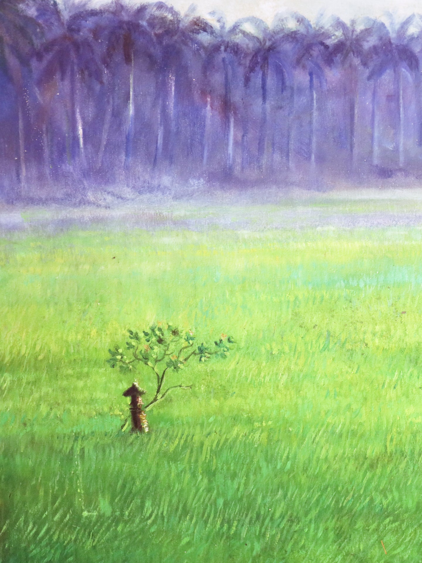 Paddy Fields - Didik