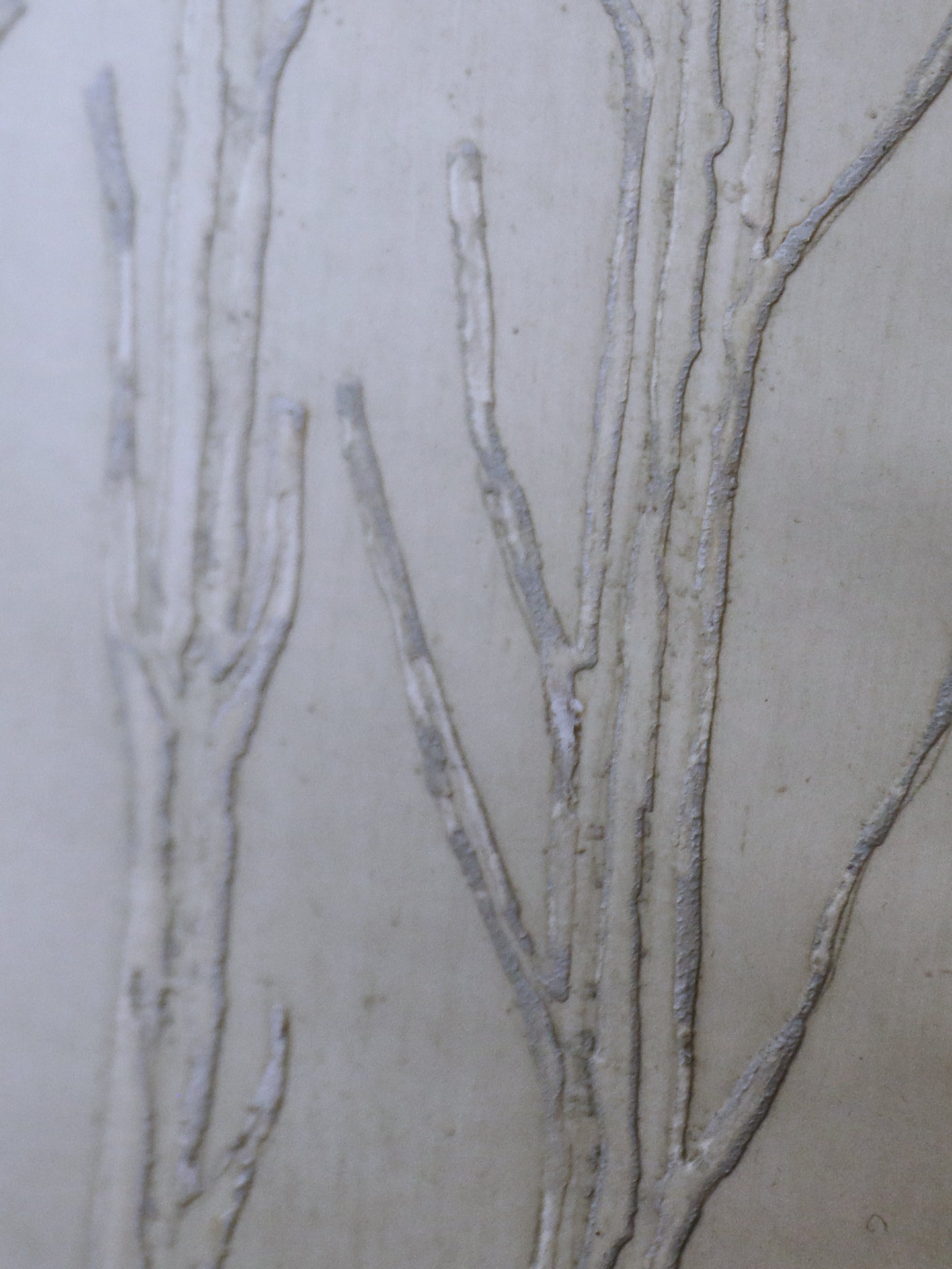 Nova Germinação IX ~ Thereza Miranda | Brazilian b1928