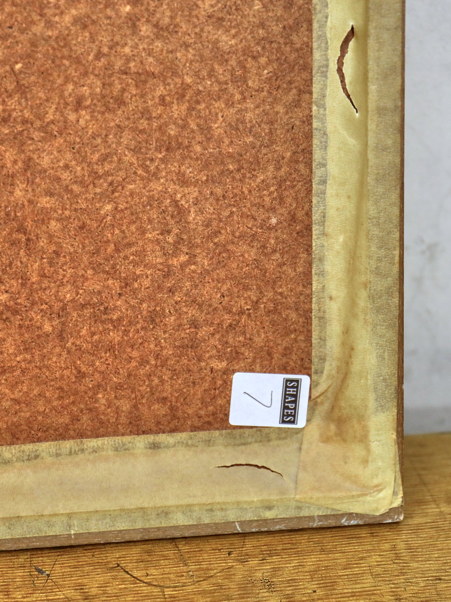 The Protestors ~ Anda Paterson R.S.WI. R.G.I. Scottish | 1935-2022